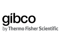 http://www.odakglobal.com.tr/wp-content/uploads/2020/06/Gibco.png