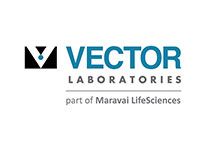 http://www.odakglobal.com.tr/wp-content/uploads/2020/06/vector-labs.jpg